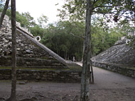 coba mayan ruins,coba mayan temple,mayan temple pictures,mayan ruins photos